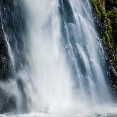 Fototapeta na wymiar waterfall in the forest, hunua, new zealand