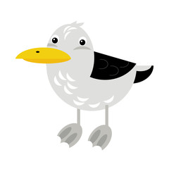 cartoon scene with flying bird tern isolated on white background illustration