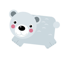 Cartoon animal polar bear on white background illustration for children