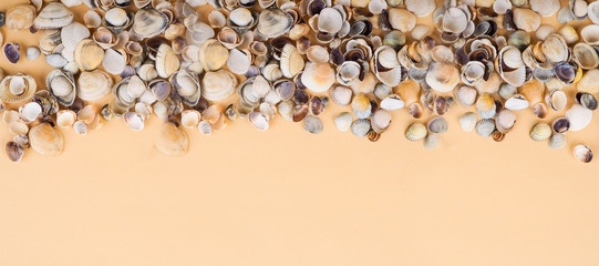 Handcraft materials, lots of shells. many small shells as a banner, background, space for text