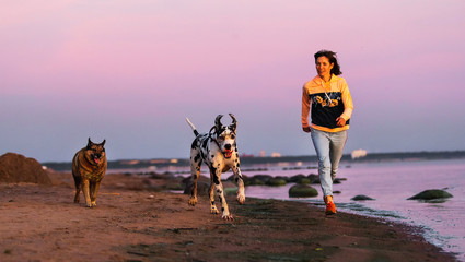Sporty woman running with dogs on sandy beach