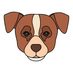 face of brown dog with white spot isolated icon vector illustration design