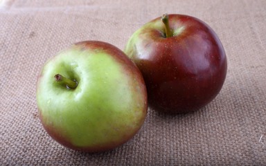 Apples on bagging