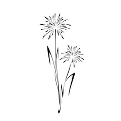 ornament 1041. stylized dandelion flower on a stalk with leaves in black lines on a white background