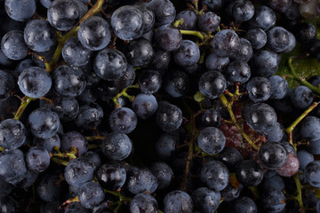 Wine grape on autumn leaves background