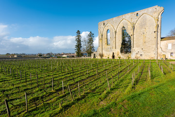 Grande Muraille de Saint Emilion