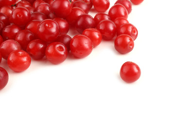 Nanking cherry isolated on white
