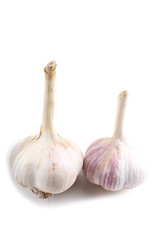 Garlic isolated on white