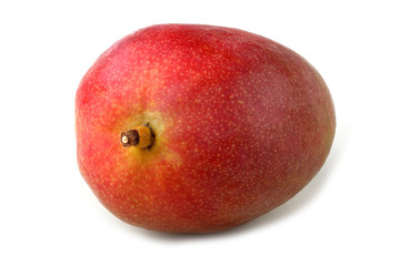 Mango isolated on white