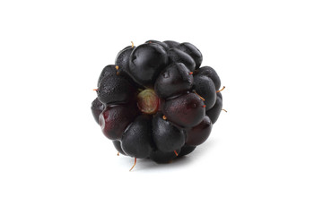 Blackberry isolated on white