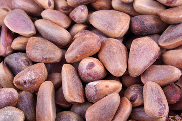 Cedar nuts background