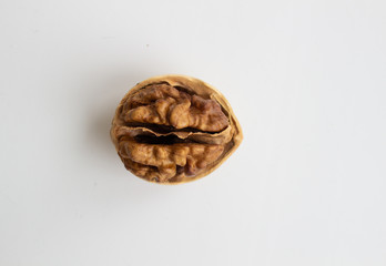 Walnut close - up isolated on a white background.