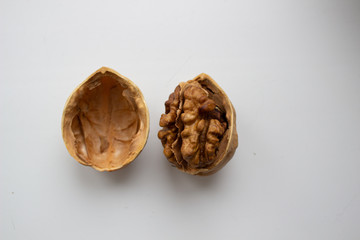 Walnut close - up isolated on a white background.