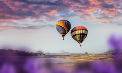 Blurred lavender field summer foreground and sunset sky landscape with hot air balloons