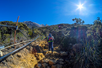 Climbers headed to the summit of Mount Kinabalu, Sabah, Malaysia. Mount Kinabalu or Gunung Kinabalu...