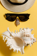 A hat, sunglasses and sea shells lie in the shape of a human face. Things for a vacation at sea lie...
