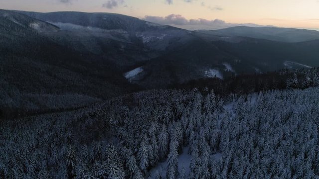 The beautiful snow covered trees by the Serak mountain in Ramzova, Czech Republic - aerial