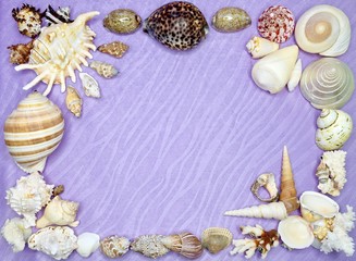frame of sea shells on a lilac background