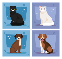 set poster of cute cats and dogs vector illustration design