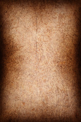 Antique Animal Skin Parchment Wizened Coarse Vignette Grunge Texture
