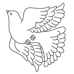 decorative pigeon flies up spreading its wings, outline drawing, isolated object on a white background,