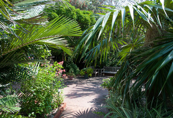 Kew West Botanical Garden Paths