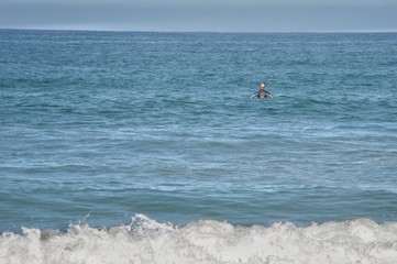 surfer waiting the best moment to drop the wave