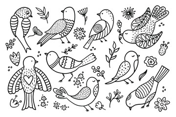 Hand drawn illustration with spring birds