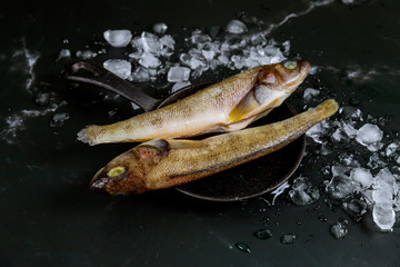 Whole fresh fish with ice on black background.