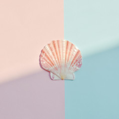 top view of seashells on pastel colored paper 