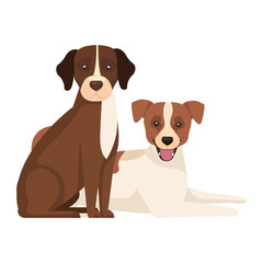 group of dogs brown and white vector illustration design