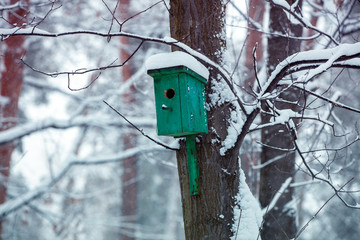 Birdhouses on the trees in snowy winter