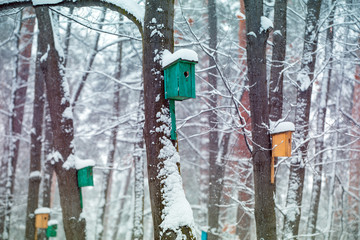 Birdhouses on the trees in snowy winter