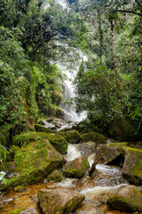 Waterfall in Itatiaia Forest, Rio de Janeiro, Brazil