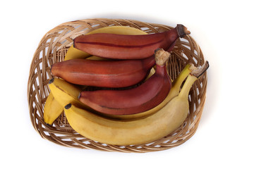 Bananas and unusual red bananas © Alex Coan