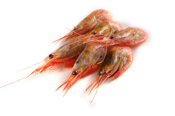 Shrimps isolated on white