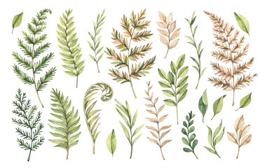 Botanical watercolor clipart. Set of Green leaves, fern, herbs and branches. Watercolor illustrations. Floral Design elements. Perfect for wedding invitations, greeting cards, blogs, posters, logo