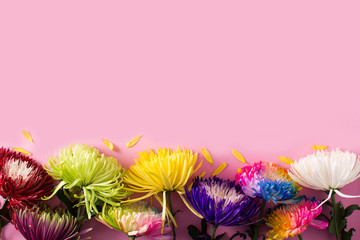 Obraz premium Variety of colorful spring flowers on pink background top view copy space