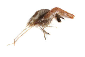 Shrimps isolated on white