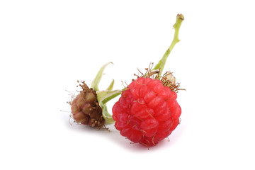 Raspberry isolated on white