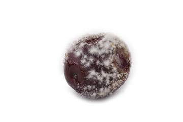 Rotten plums isolated on white