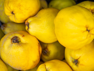 Close up fresh quince. Fresh, yellow Quinces in baskets on sale at the market. Bio Food On A Health Food Store Counter