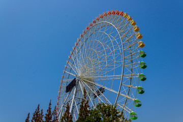 ferris wheel
