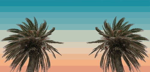 Obraz na płótnie Canvas Beautiful abstract surreal palm tree geometric landscape collage concept, contemporary colors and mood social background.
