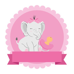 Obraz na płótnie Canvas cute elephant female with pacifier in lace frame vector illustration design