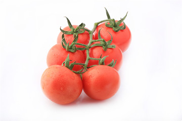 Cocktail tomato shot on a white background