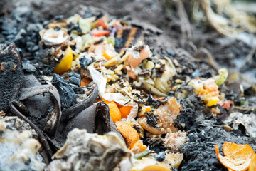 organic cleaning of vegetables and fruits lie in a garbage compost heap. close-up