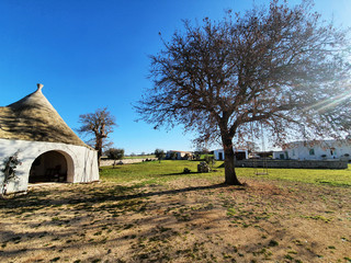 Tranquillo paesaggio in Puglia con trullo e altalena sull'albero