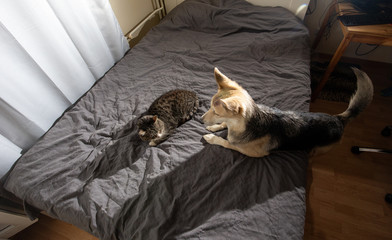 Fototapety na wymiar - Fototapeta24.pl