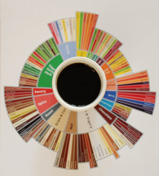 Specialty coffee concept. Black coffee in white cup on taster's flavor wheel. Top view